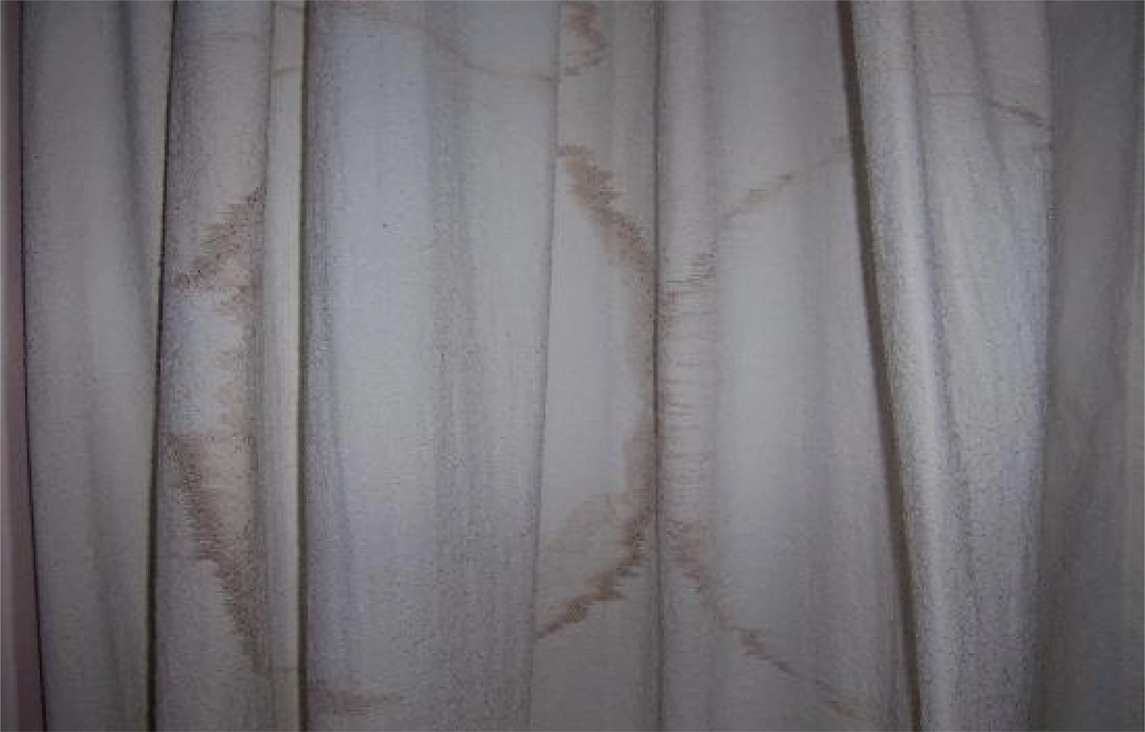 Cortinas limpias y desinfectadas