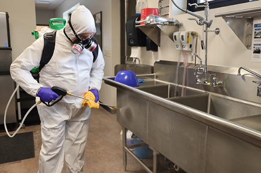 Rectangle 905 Rectangle 905